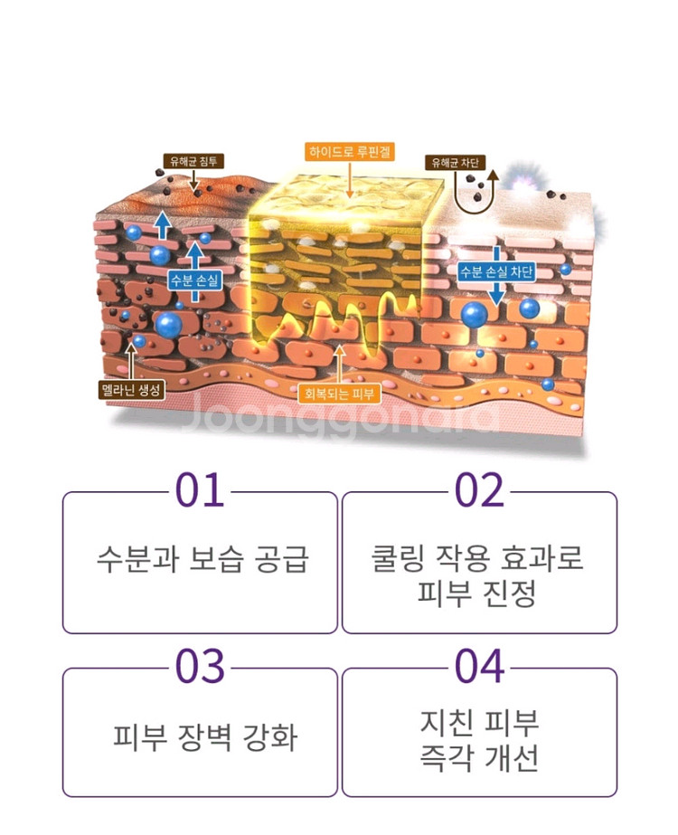 에끌라뒤땅 하이드로루핀겔500ml--1