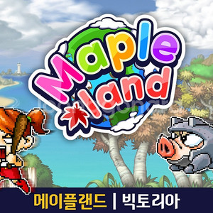 메이플랜드 2천만 메소 팝니다