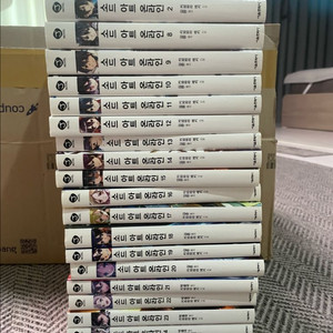 [라노벨] 소드아트온라인, 이세계 광상곡, 더 뉴게이트