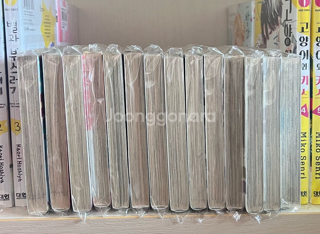 올초판 츠바키쵸 론리 플래닛 1~14 순정만화 만화책--1