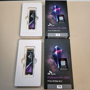 SK하이닉스 P41 SSD 1TB