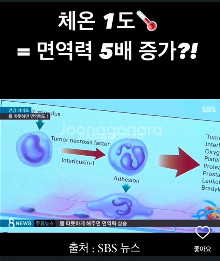 온체 고주파 치료기 새상품--8