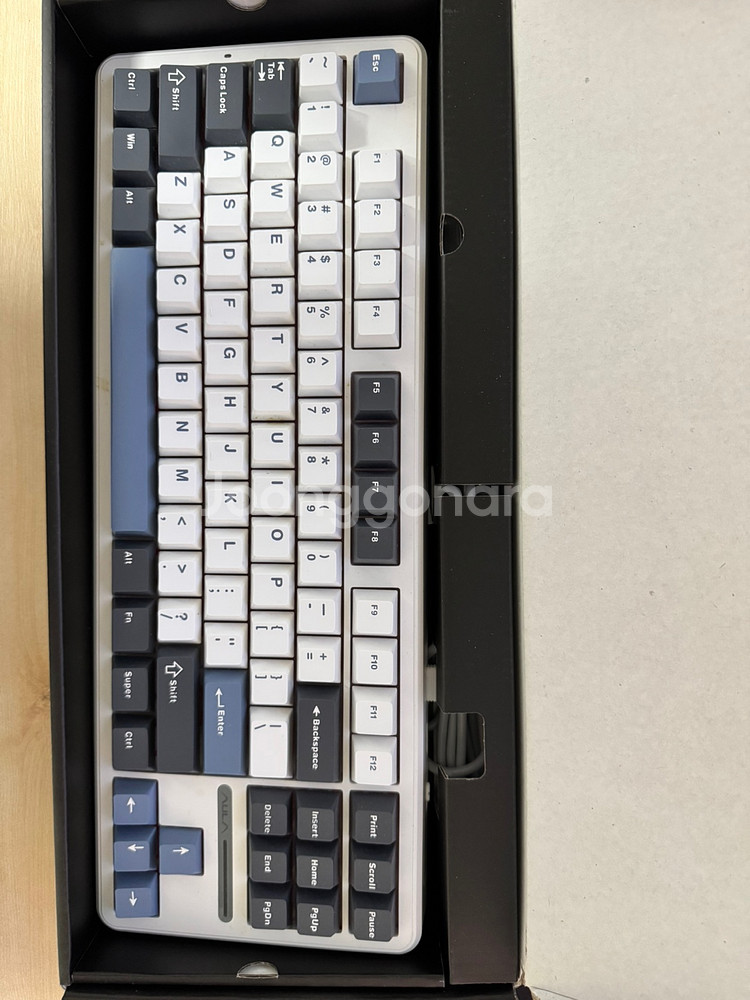 독거미 AURA F87 pro 황축--1