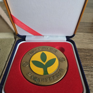 전두환 대통령 (새마을 운동, 사회정화운동 메달)