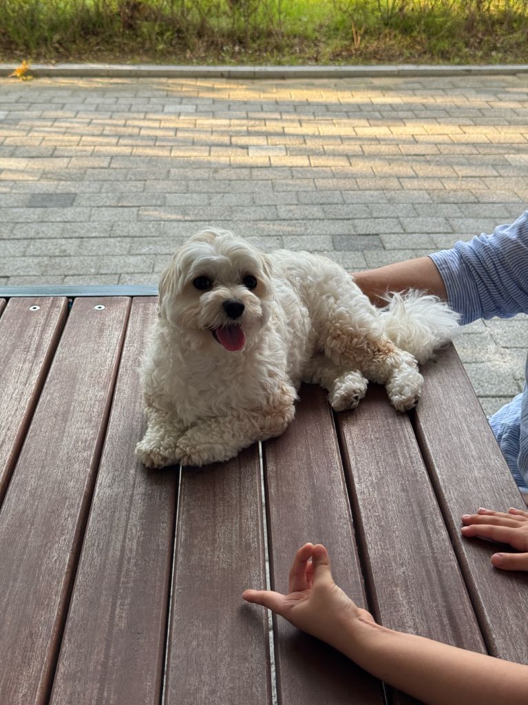 프로필 이미지