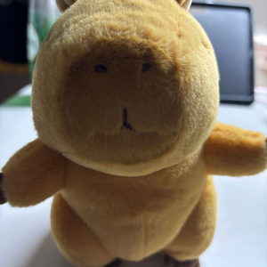 카피바라인형 에버랜드