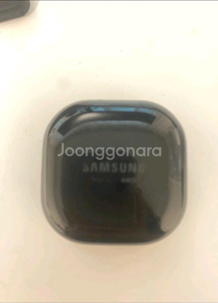 버즈라이브--0