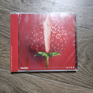 *급처* 미개봉 바운디 CD 팝니다.