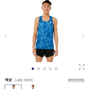 [95,M] 아식스 라이트 메쉬 싱글렛 팝니다