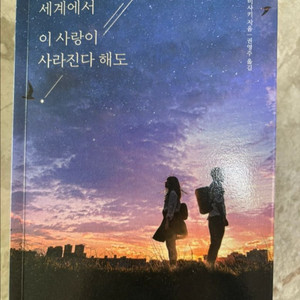 오늘 밤 세계에서 이 사랑이 사라진다 해도 책