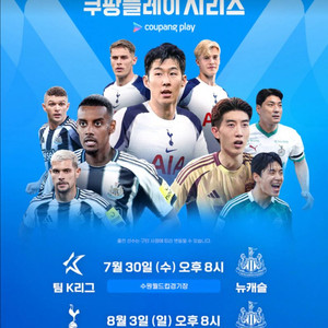 토트넘 vs 뉴캐슬 프리미엄B 2연석 정가 양도