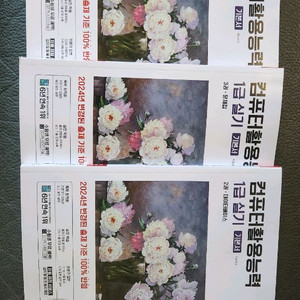 컴퓨터활용능력 1급 실기