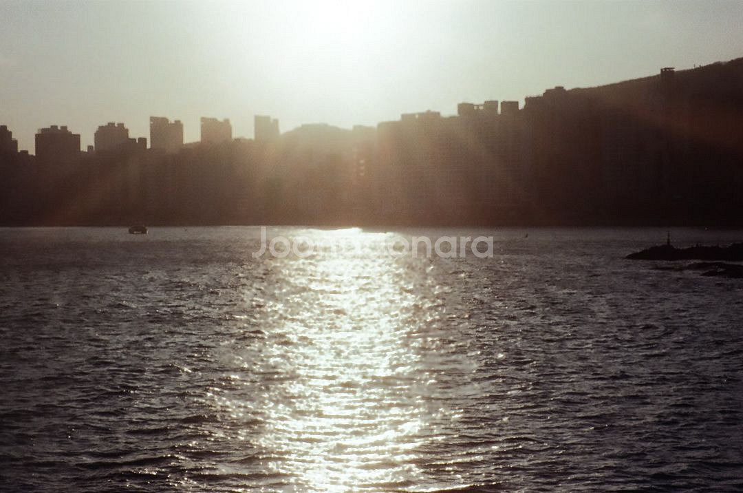 삼성 FUZZY ZOOM 1150 Panorama작례--5