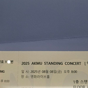 Akmu 악동뮤지션 스탠딩 110번대 1매