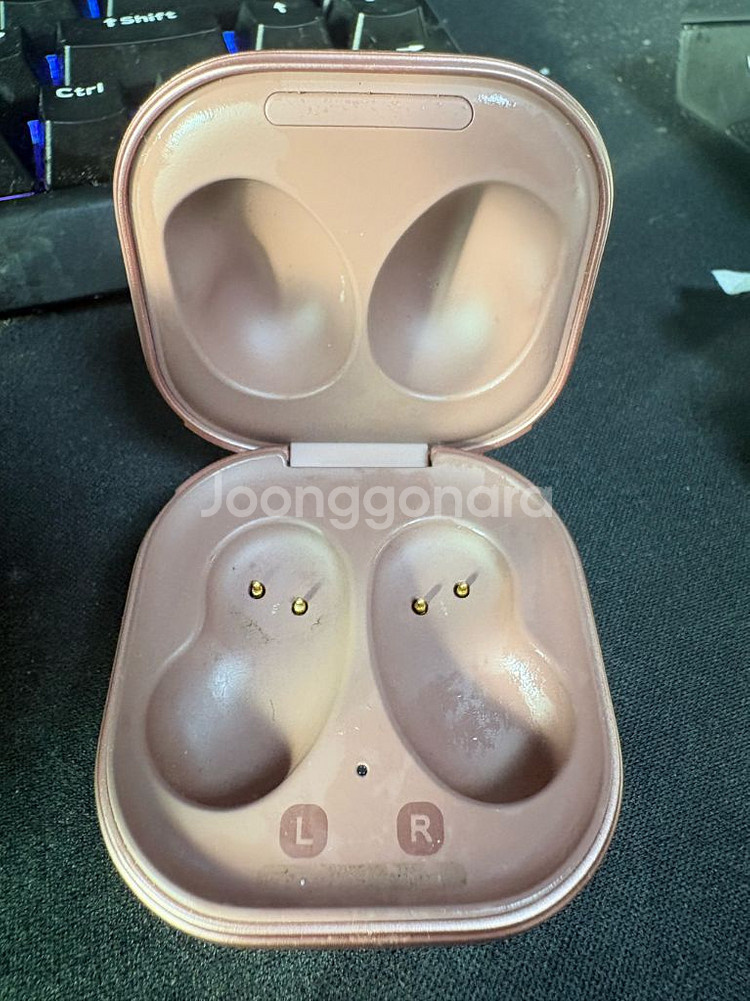갤럭시 버즈--0