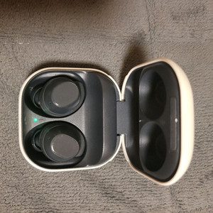 갤럭시버즈fe