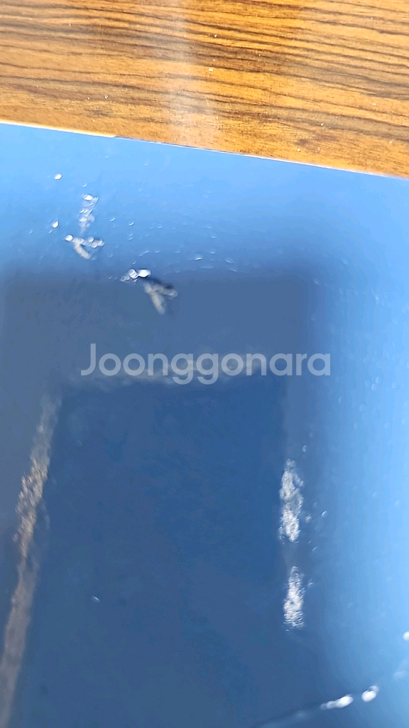 뉴또봇 X Y Z W 일괄 (택포)--5