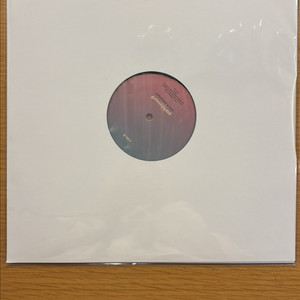 박지윤 9집 lp