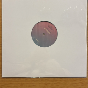 박지윤 9집 lp