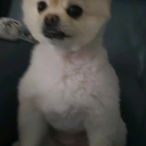 9800x3d 완본체 삽니다 연락주세요