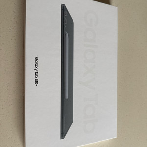 갤럭시 탭 S10+ Wifi (256GB)