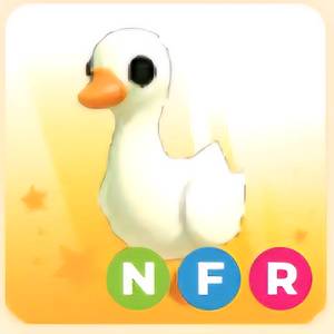 입양하세요 NFR 거위 (네거위)