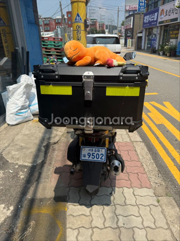 2025년식 PCX125--3