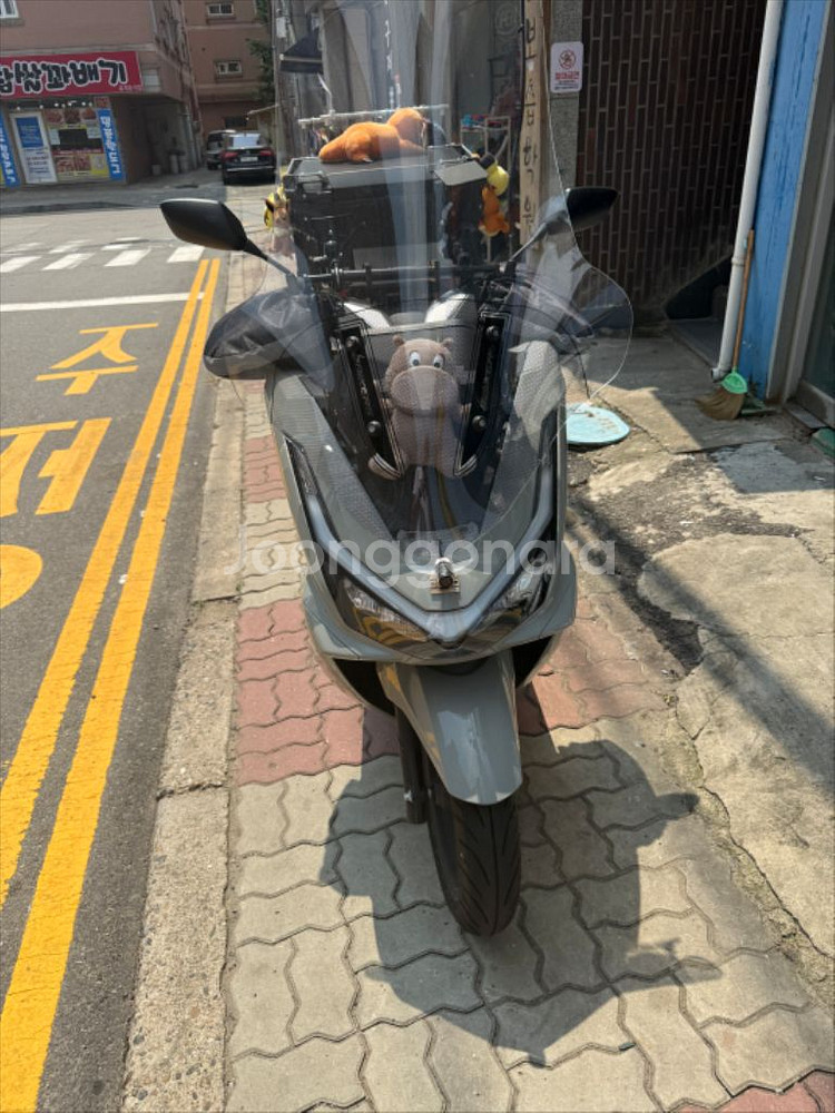 2025년식 PCX125--1