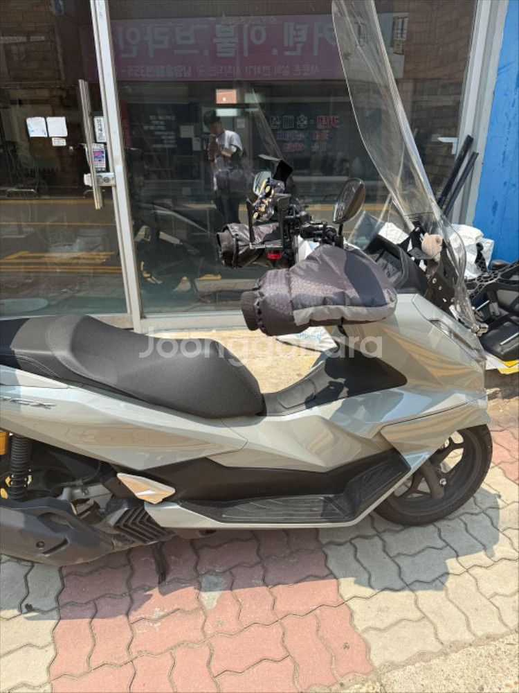 2025년식 PCX125--2