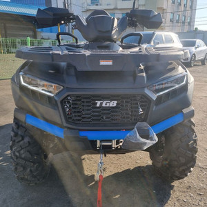 TGB 블레이드600 4륜구동 사발이 파라요