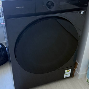 삼성 비스포크 AI 17kg 건조기