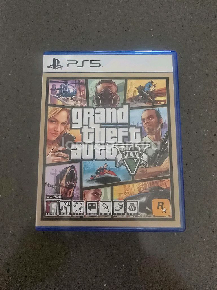 PS5 GTA5--0