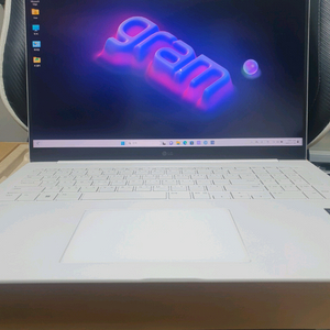 LG그램 프로 노트북 17인치 U5 램16 SSD512