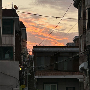 시부야 스카이 8/2 18:00