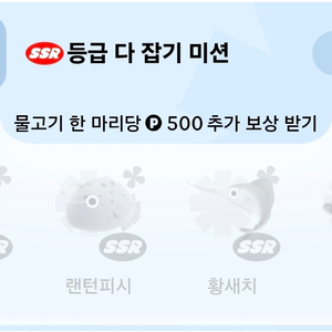 틱톡 황새치 1000 삽니다.
