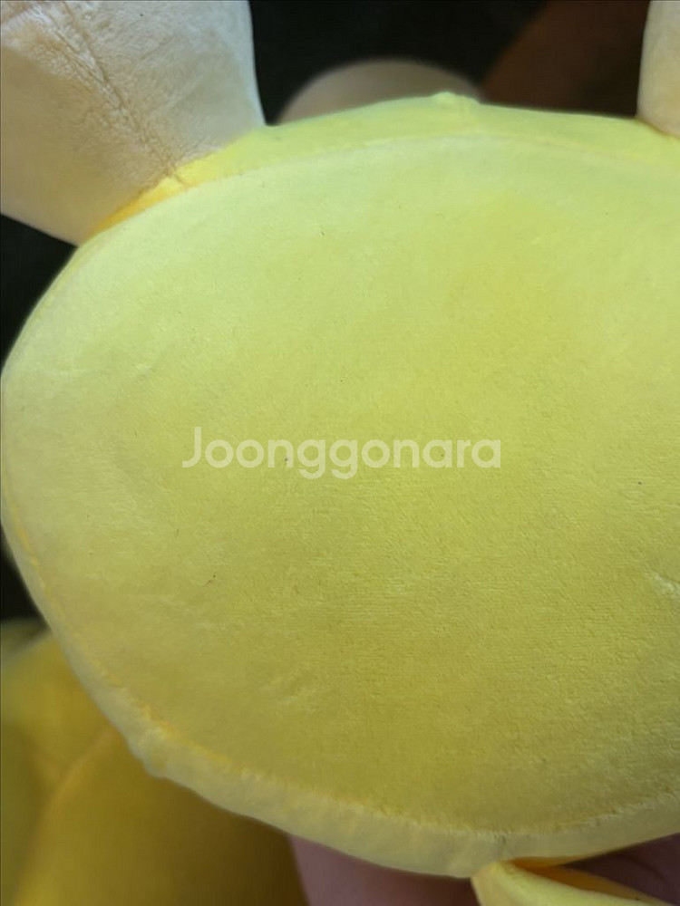 2개일괄)포켓몬스터 고라파덕 30cm 포켓몬 인형 인테--8