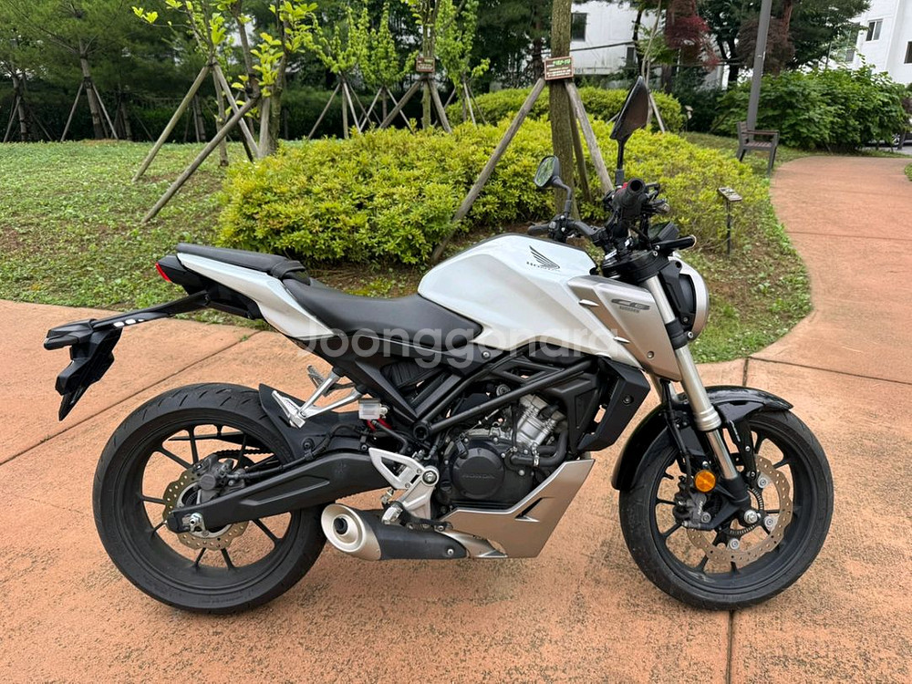혼다 cb125r 19년형 abs 화이트컬러 팝니다--2