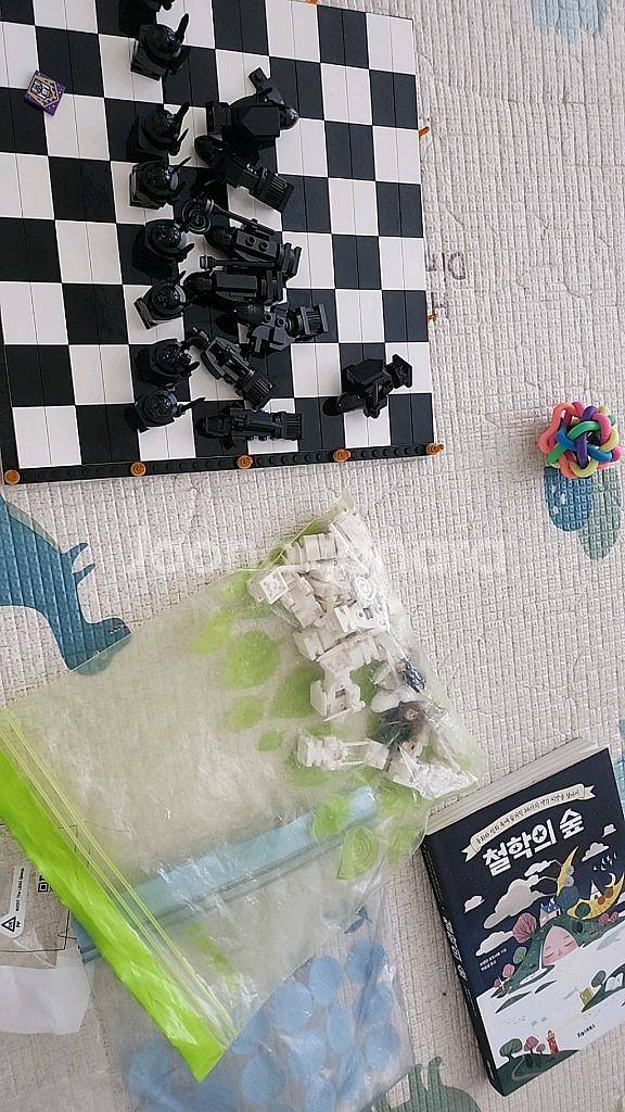 레고 해리포터체스 76392--1