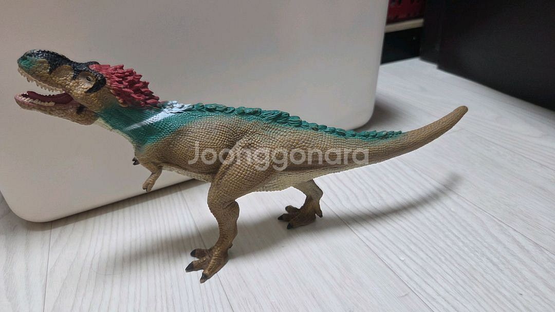콜렉타 깃털티라노사우르스--0