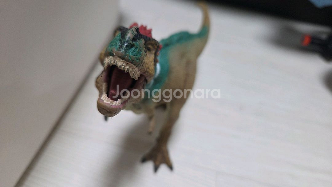 콜렉타 깃털티라노사우르스--2