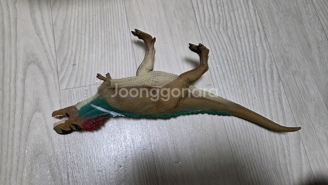 콜렉타 깃털티라노사우르스--3