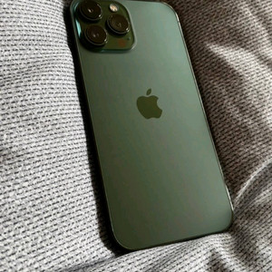 iphone 13 pro max 128g 알파인그린