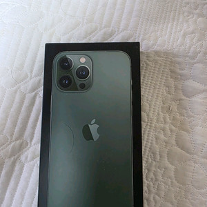 아이폰 13 Pro Max 128GB 알파인 그린