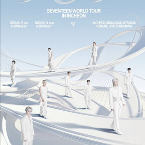 세븐틴 SVT 콘서트 선예매 대리 댈티 해 드립니다