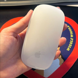 애플 매직 마우스 Apple 2021년 Magic Mo