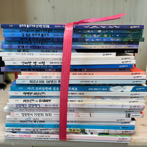 시공주니어 네버랜드 세계의 걸작 그림책