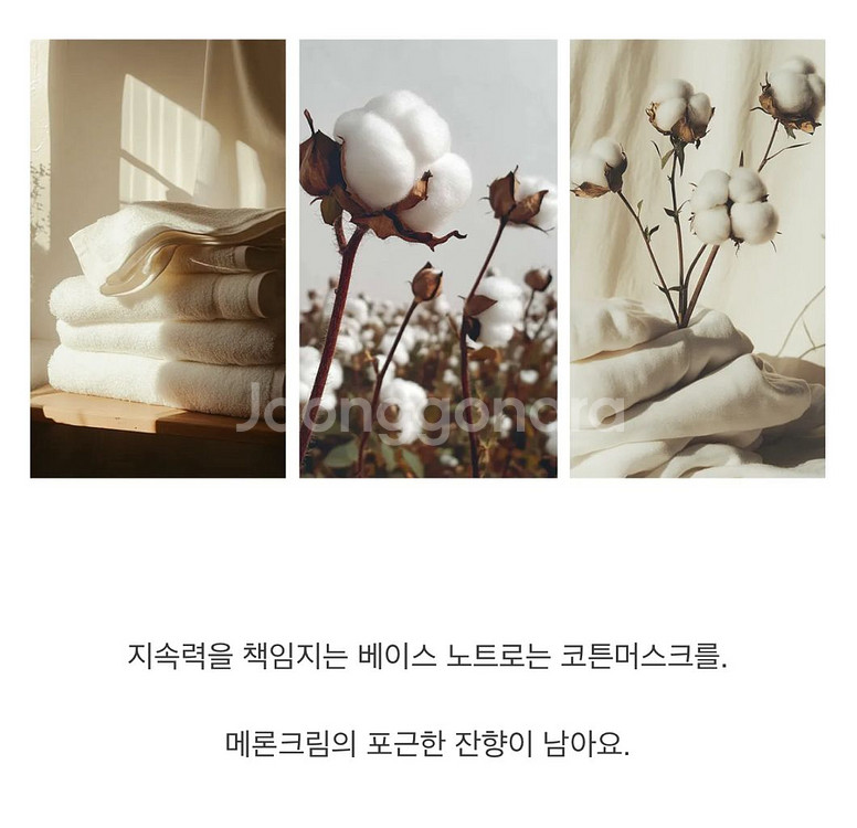 [미개봉] 스튜디오월든 메론크림소다빙수 50ml 향수--8
