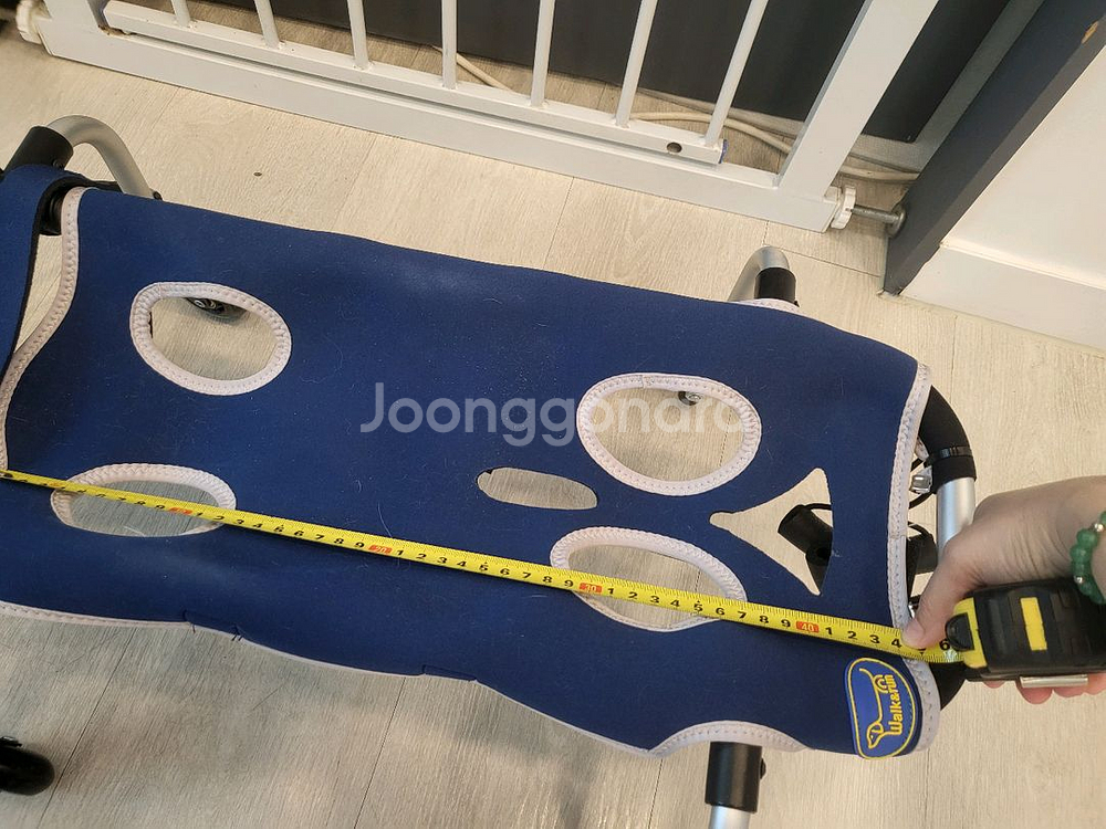 강아지휠체어--0