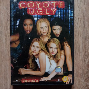 DVD코요테 이글리