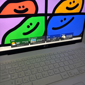 LG 그램 i5 17인치